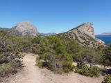 Image of landscape