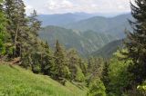 Image of landscape