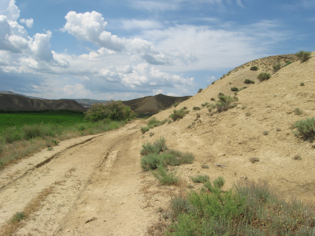 Долина реки Камышчай, image of landscape/habitat.