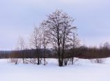 Закамск, изображение ландшафта.