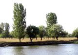 Image of landscape