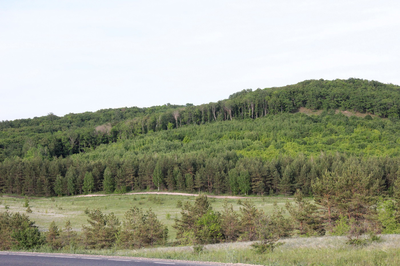 Окрестности посёлка Алексеевка, image of landscape/habitat.