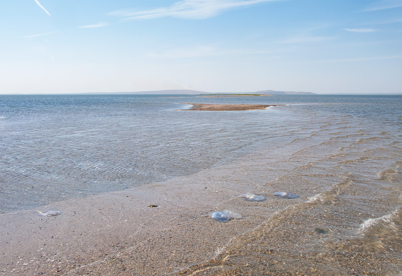 Коса Голенькая, image of landscape/habitat.