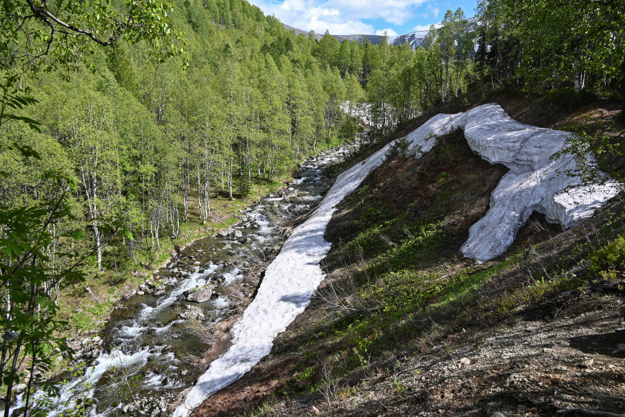 Верховья реки Правая Сарала, image of landscape/habitat.