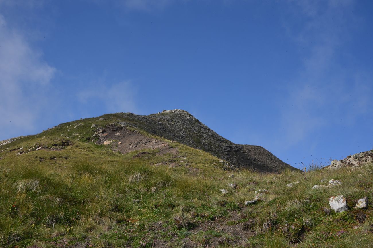 5 км от Цумандинского перевала, image of landscape/habitat.