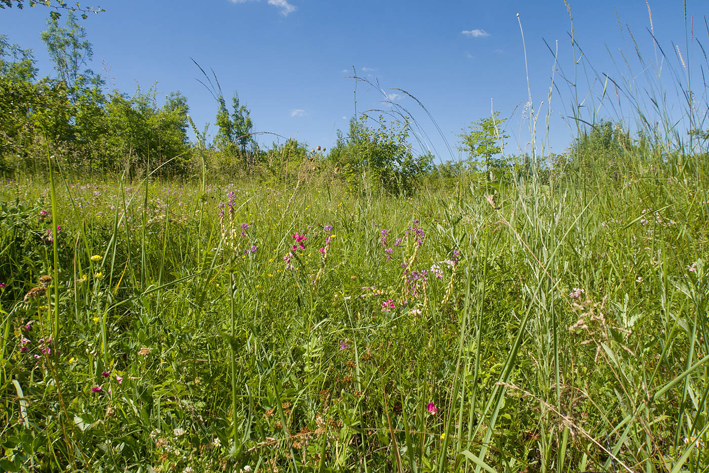 Темрючки, image of landscape/habitat.