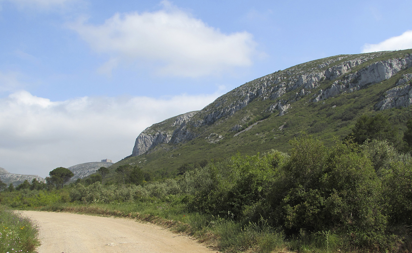 Горный массив Монгри, image of landscape/habitat.