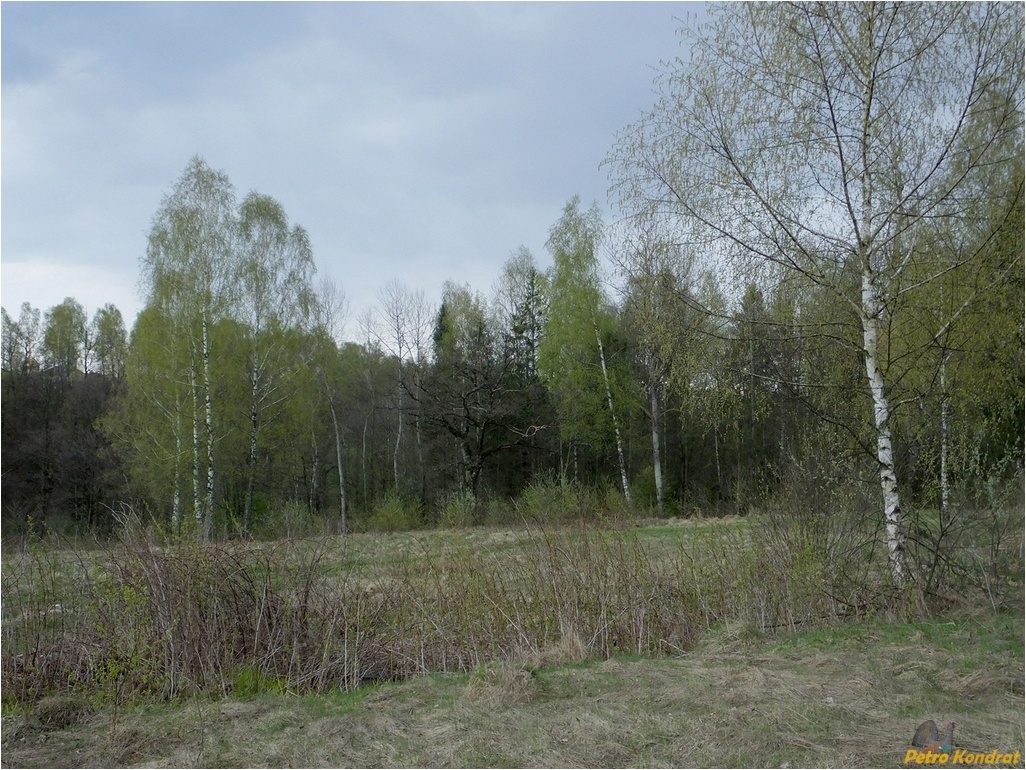 Долина, image of landscape/habitat.