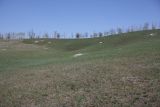 Image of landscape