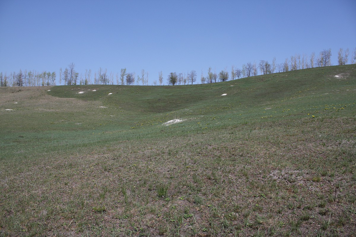 Лысые Горы, image of landscape/habitat.