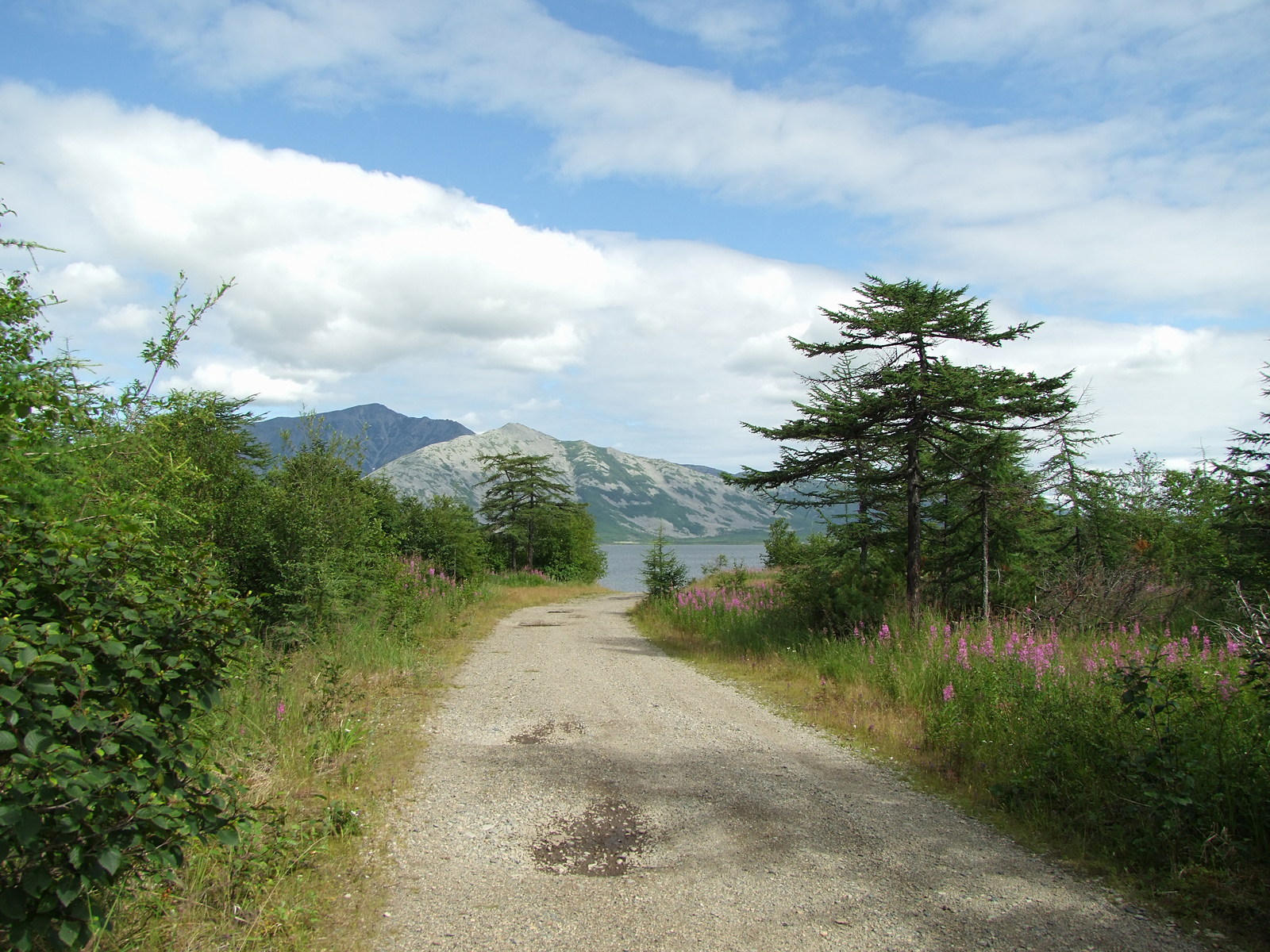 Глухое, image of landscape/habitat.