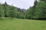 Image of landscape