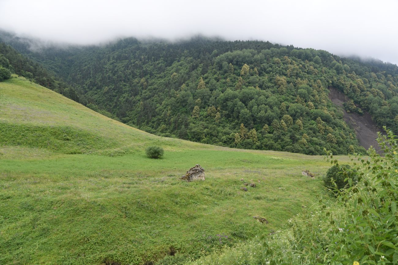 Урочище Лялах и окрестности, изображение ландшафта.