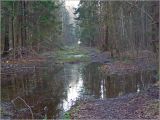 Image of landscape