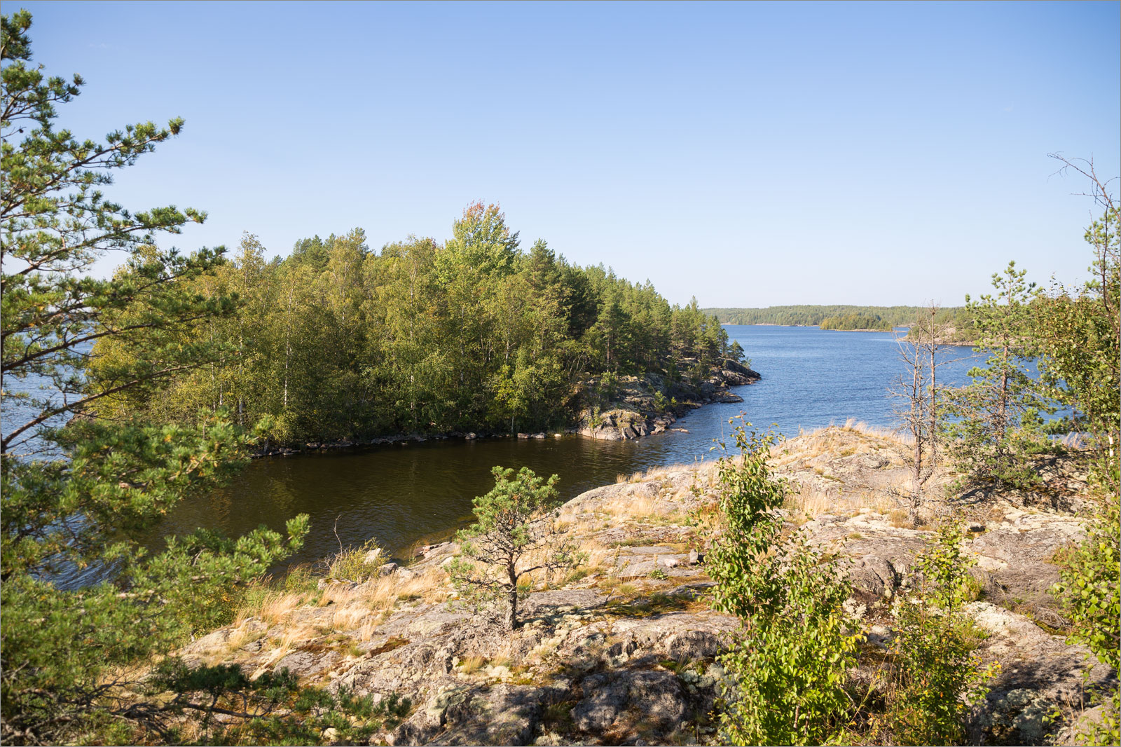 Залив Лехмалахти, image of landscape/habitat.