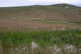 Image of landscape