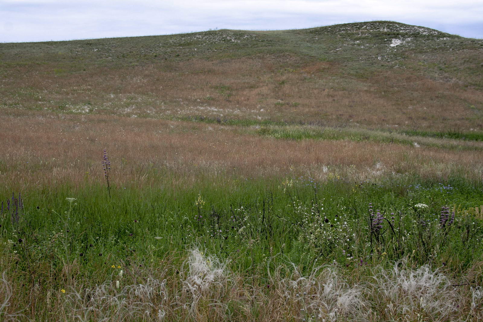 Полунино, image of landscape/habitat.