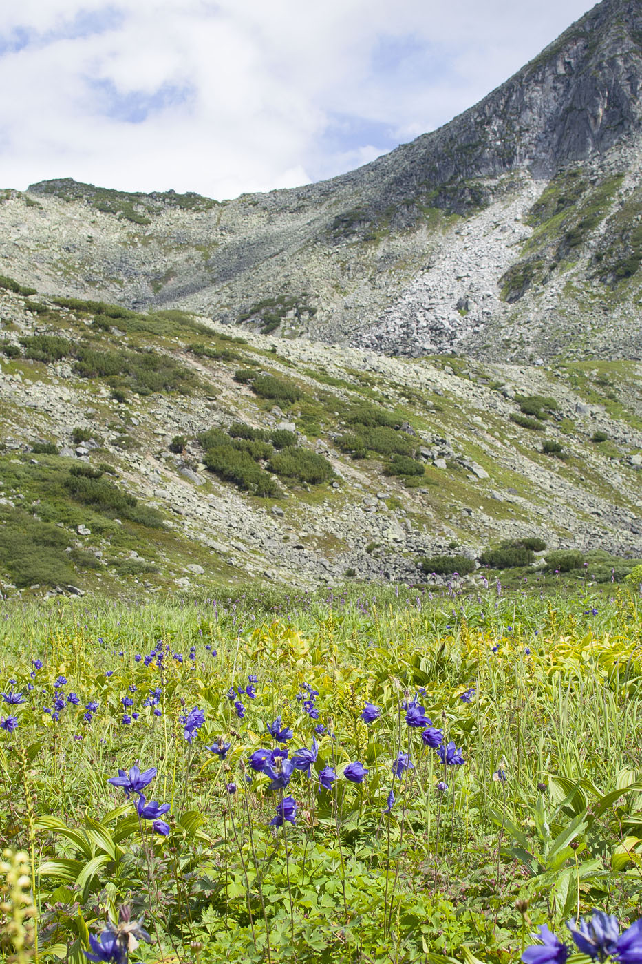 Шумилиха. Среднее озеро., image of landscape/habitat.
