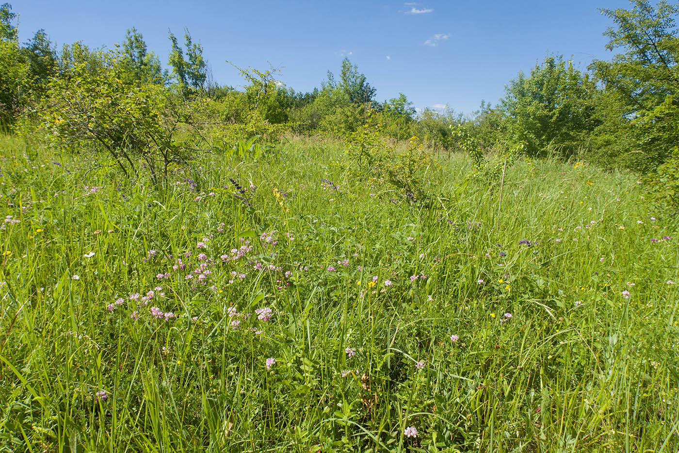 Темрючки, image of landscape/habitat.