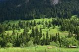 Кашикли, image of landscape/habitat.
