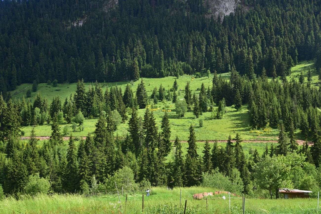 Кашикли, image of landscape/habitat.