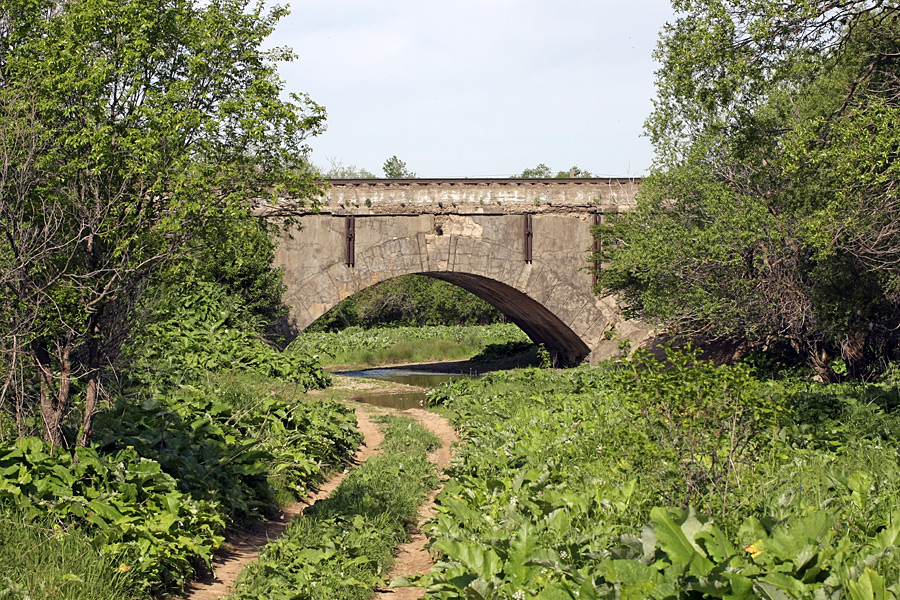 Истоки Арыси, image of landscape/habitat.