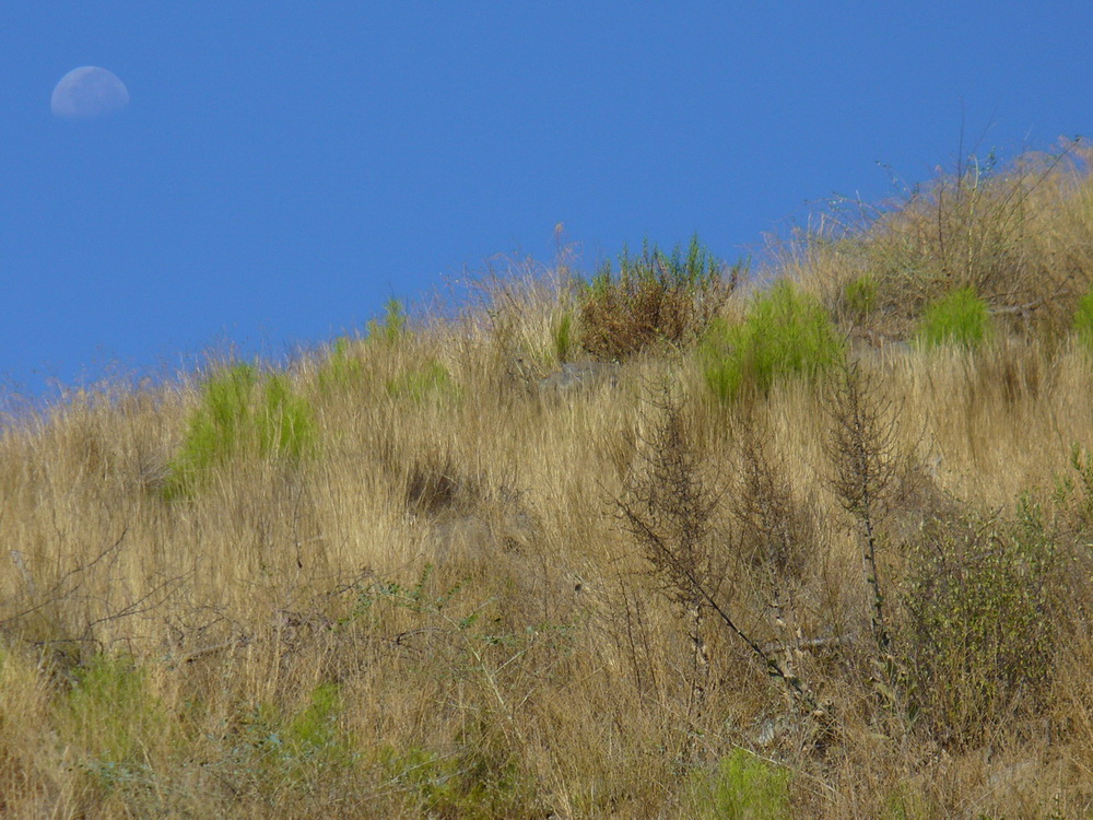 Кириш и окрестности, image of landscape/habitat.