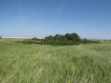 Лог Суры, image of landscape/habitat.