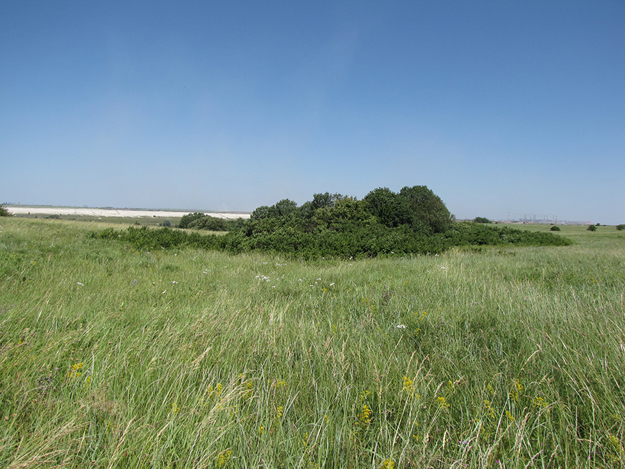 Лог Суры, image of landscape/habitat.