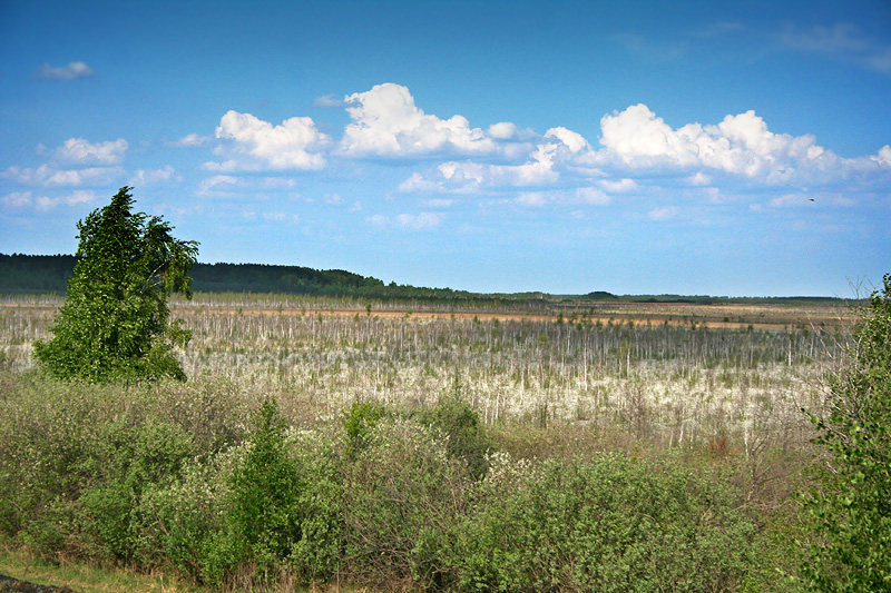 Кулигаш, изображение ландшафта.