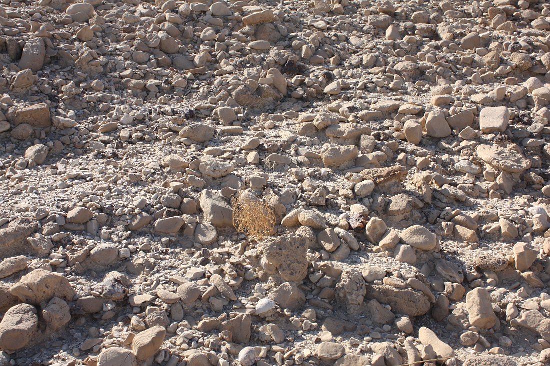 Мёртвое море, image of landscape/habitat.