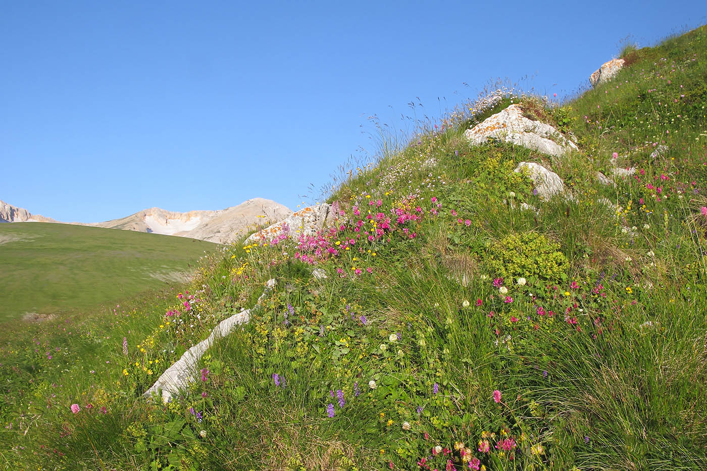Оштен, image of landscape/habitat.