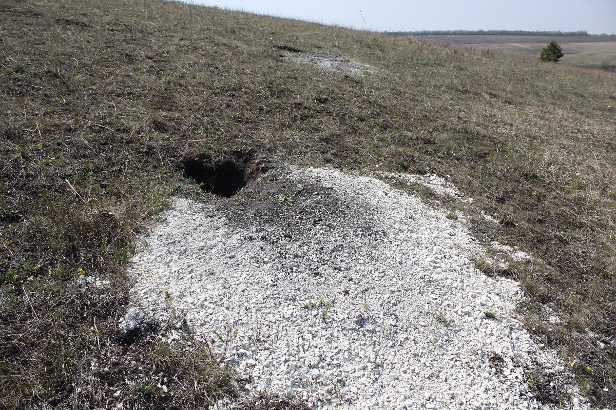 Лысые Горы, image of landscape/habitat.