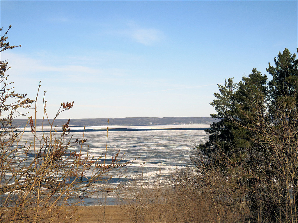 Верхняя Терраса и окрестности, image of landscape/habitat.