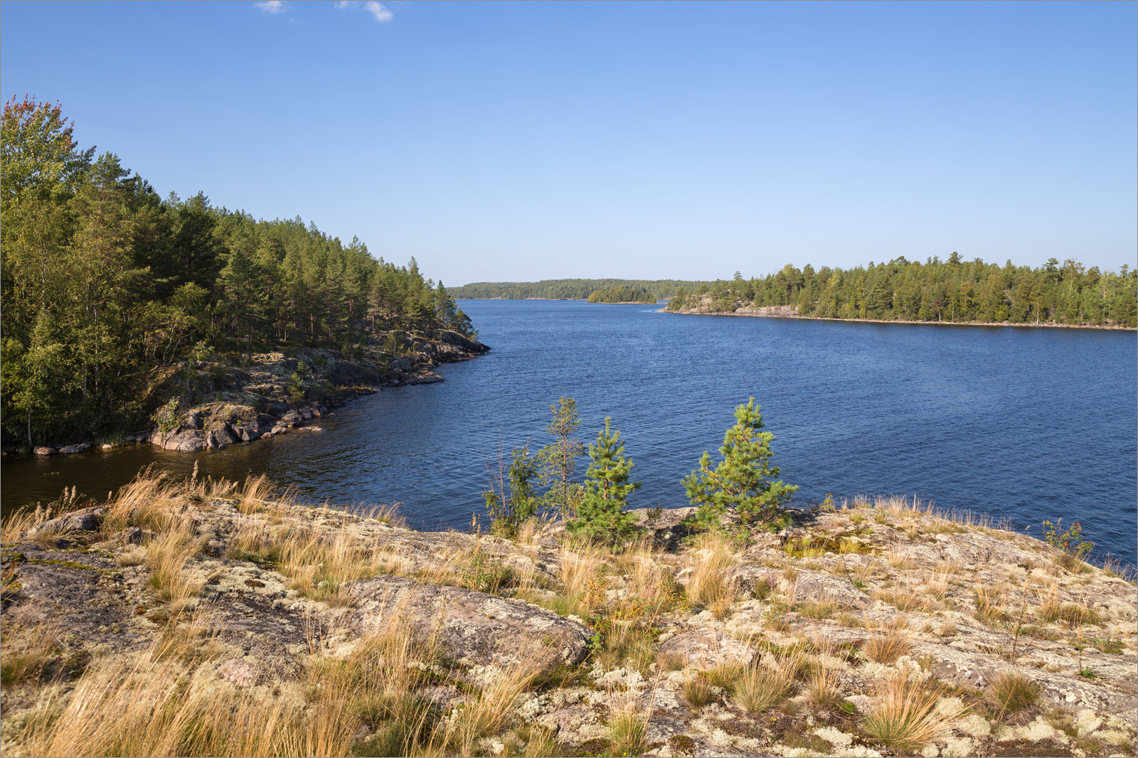 Залив Лехмалахти, image of landscape/habitat.