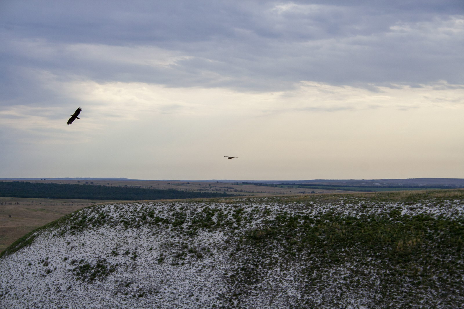 Полунино, image of landscape/habitat.