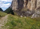 Караул-Оба, image of landscape/habitat.