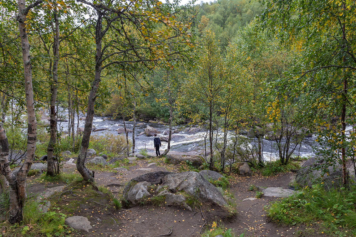 Лавна, image of landscape/habitat.
