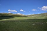 Окрестности села Гандзани, image of landscape/habitat.