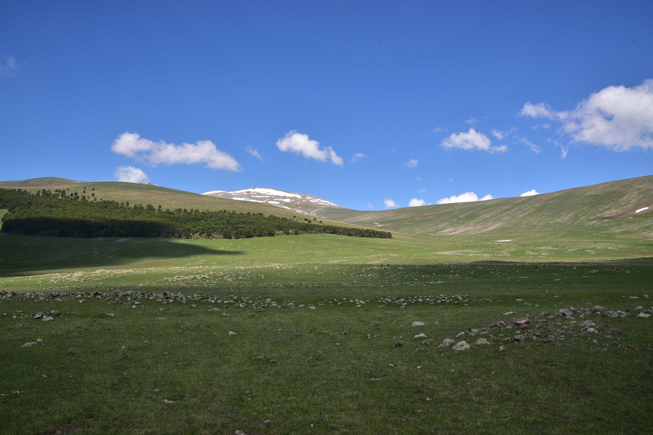 Окрестности села Гандзани, image of landscape/habitat.