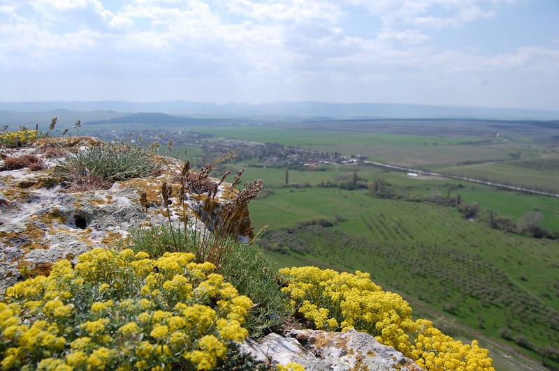 Белая Скала (Ак-Кая), image of landscape/habitat.