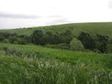 Image of landscape