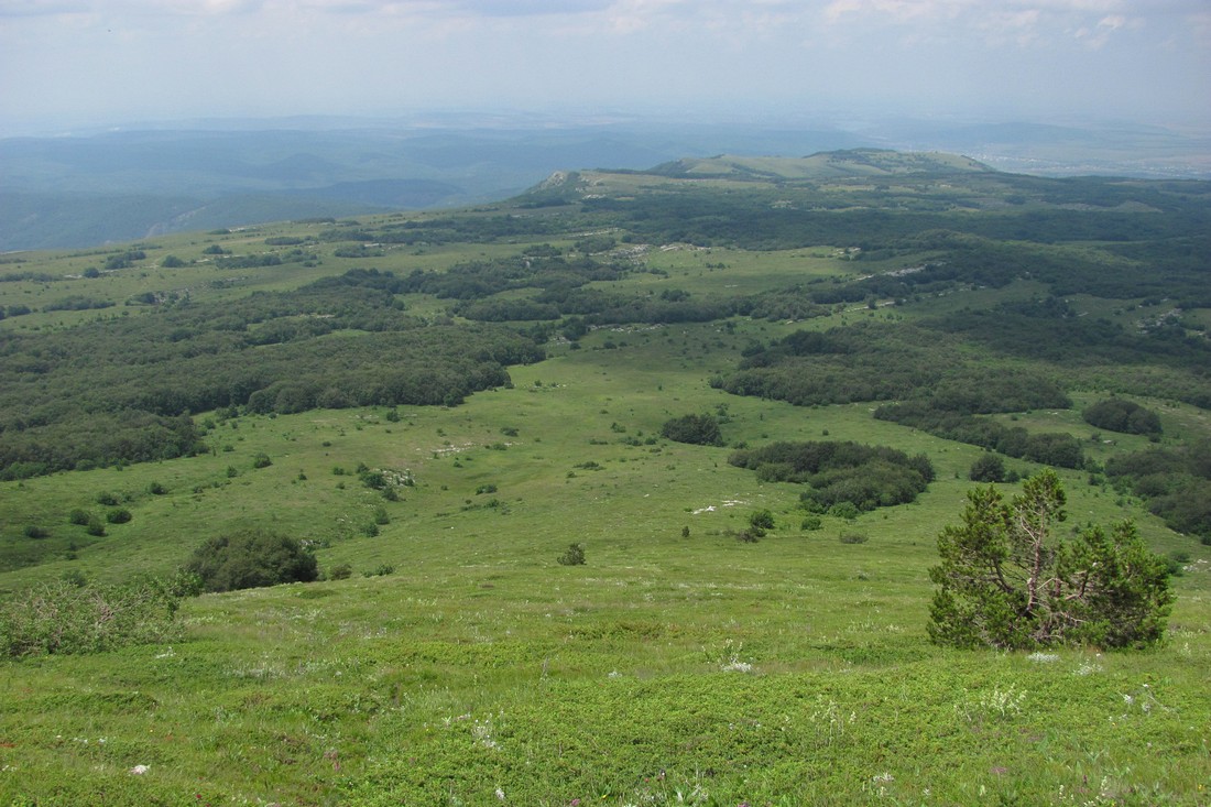 Чатырдаг, image of landscape/habitat.