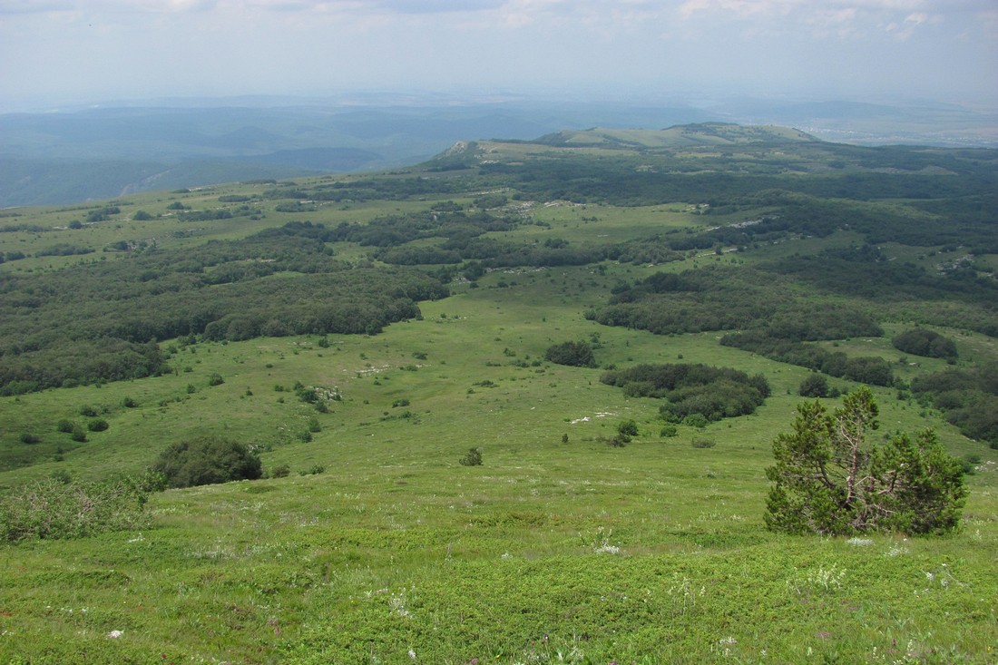 Чатырдаг, изображение ландшафта.