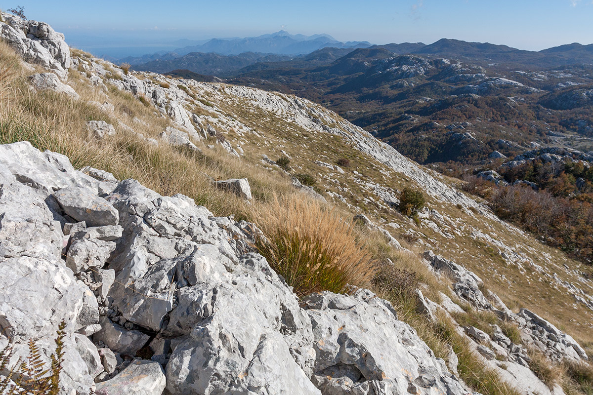 Ловчен, image of landscape/habitat.