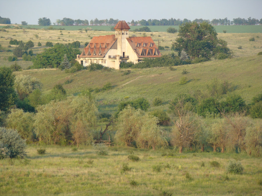 Заповедник "Еланецкая степь", image of landscape/habitat.