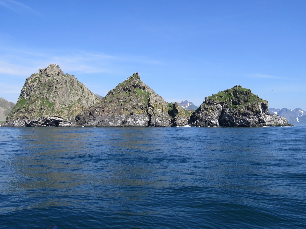 Мыс Цепочка, image of landscape/habitat.