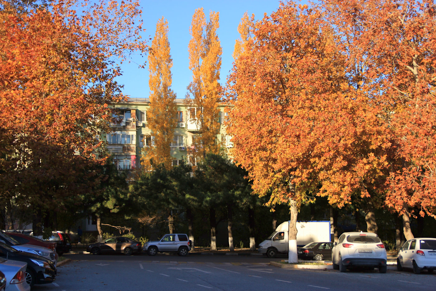 Новороссийск, image of landscape/habitat.