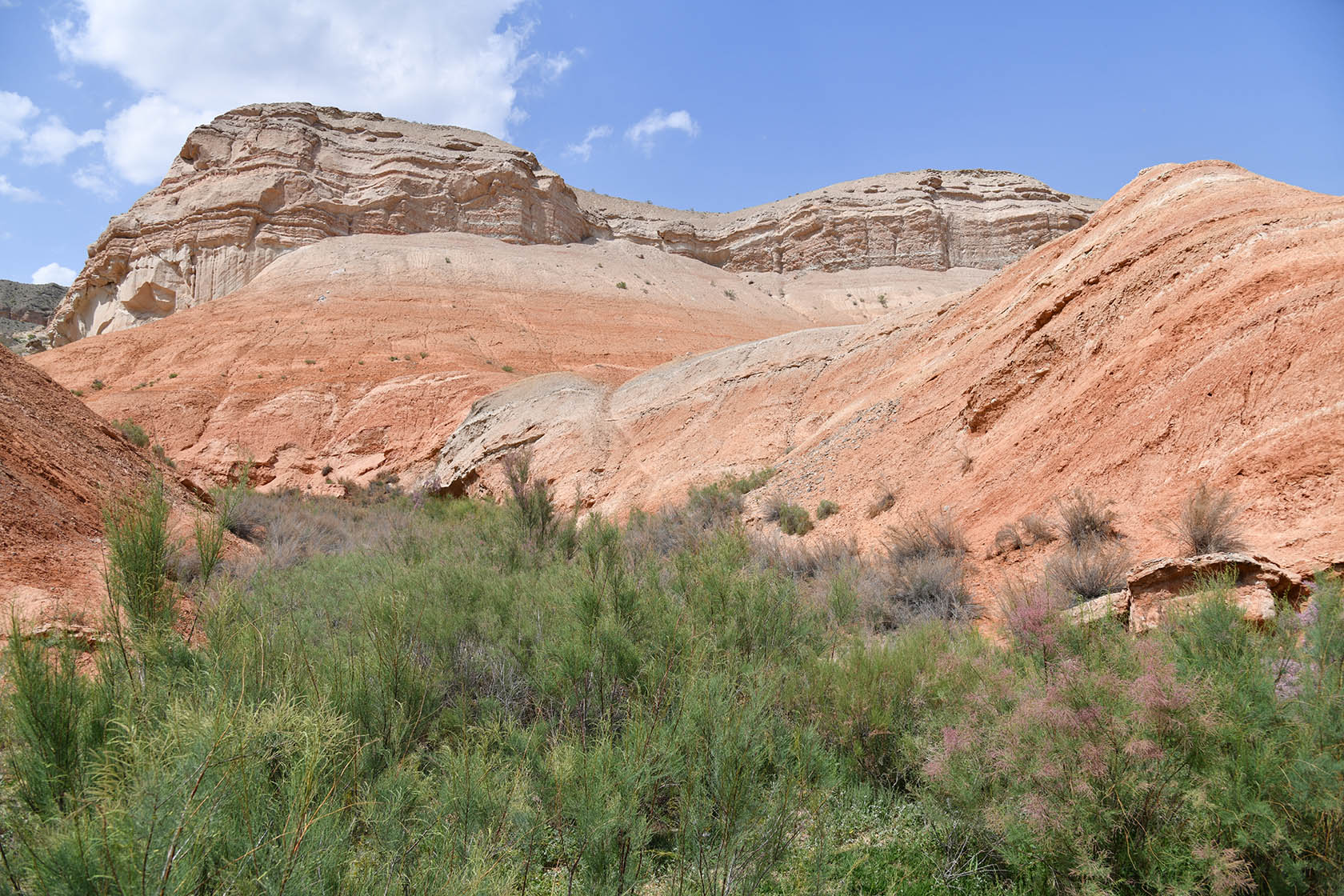 Исфара, image of landscape/habitat.