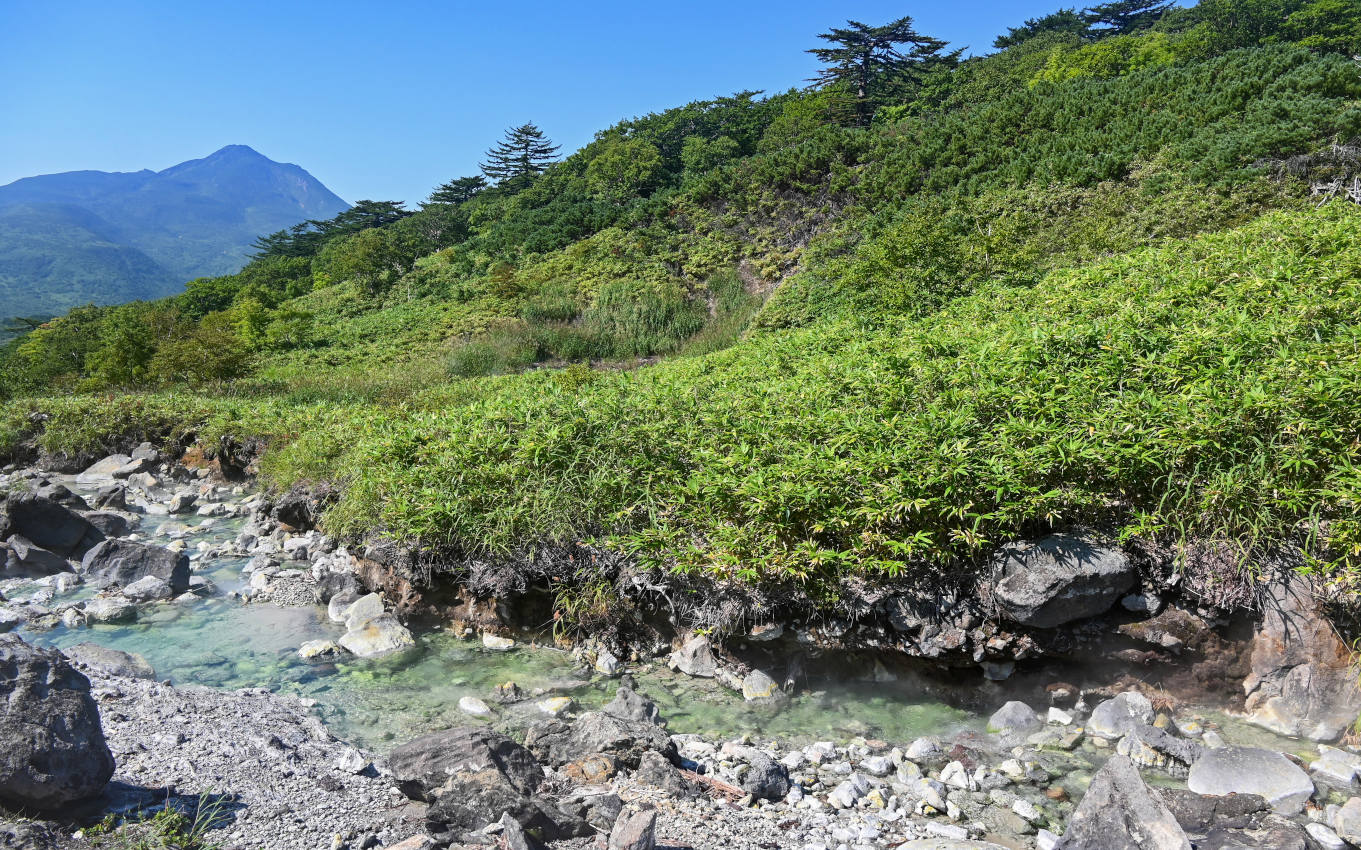 Вулкан Баранского, image of landscape/habitat.